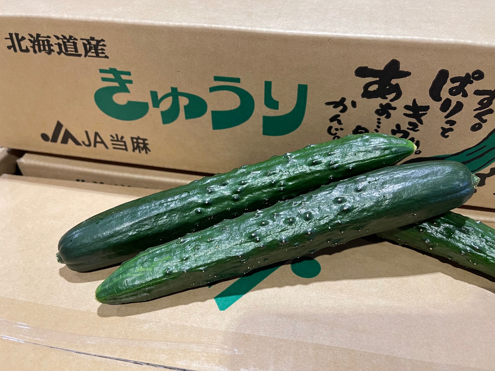 JA当麻「きゅうり」の販売が始まりましたよ – 札幌みらい中央青果株式会社